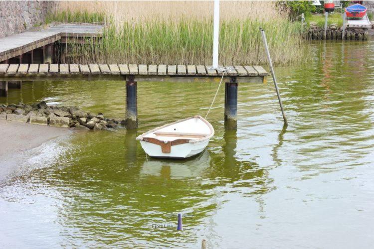 Hausboot Fjord Aries Mit Dachterrasse In Schleswig Hotel Eksteriør billede